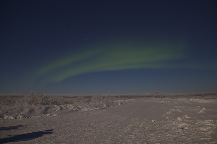 Aurora Midnight and -36c