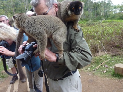 Photographic Assistants