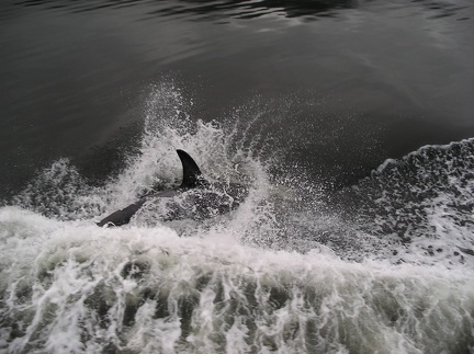 Luna alongside Uchuck III