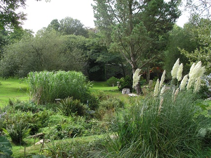  Eccentric lady's garden