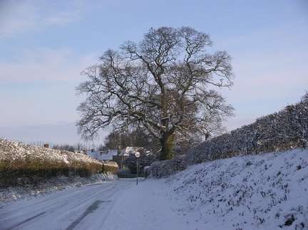  South Street towards the Village