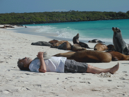 Old Bloke with the Sea Lions