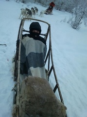 Husky Trip - Mads in sledge