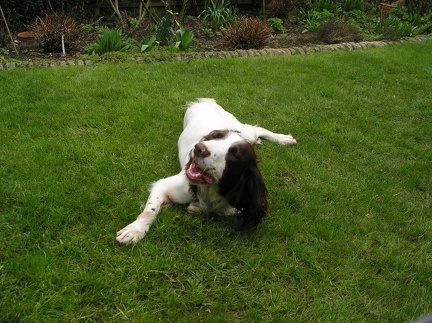 Me on the lawn in Cheshunt