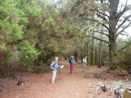 Near the Start of our 2nd Walk